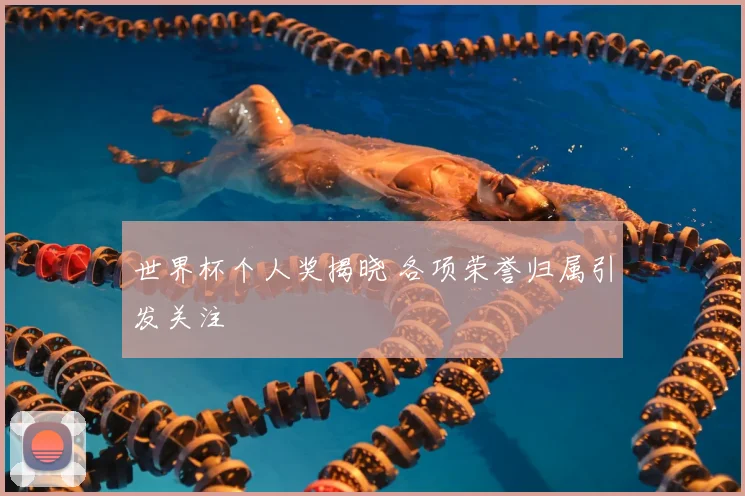 世界杯个人奖揭晓 各项荣誉归属引发关注