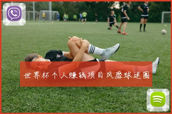 世界杯个人赚钱项目风靡球迷圈