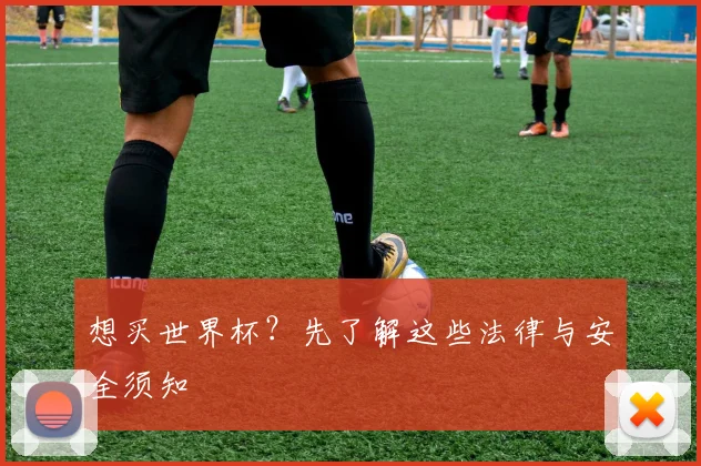 想买世界杯?先了解这些法律与安全须知