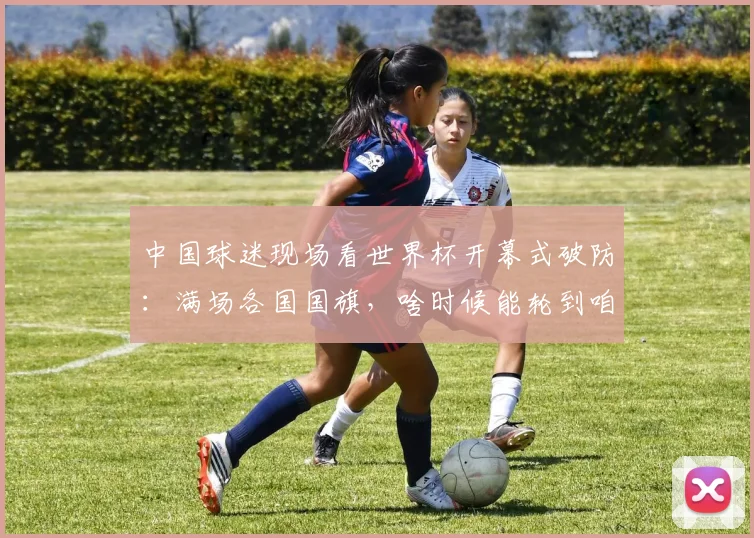 中国球迷现场看世界杯开幕式破防：满场各国国旗，啥时候能轮到咱中国队啊
