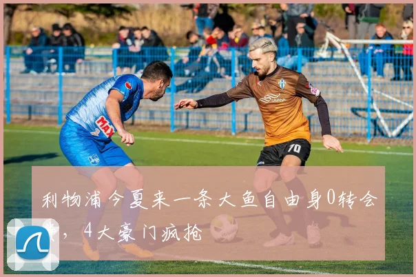 利物浦今夏来一条大鱼自由身0转会费，4大豪门疯抢