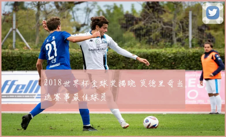 2018世界杯金球奖揭晓 莫德里奇当选赛事最佳球员