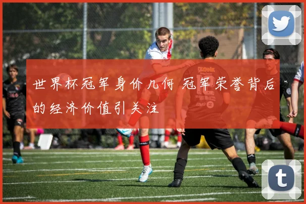 世界杯冠军身价几何 冠军荣誉背后的经济价值引关注