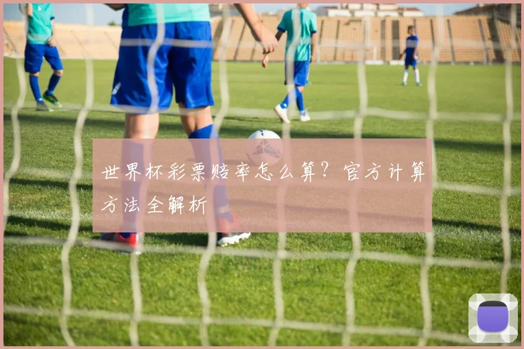 世界杯彩票赔率怎么算？官方计算方法全解析