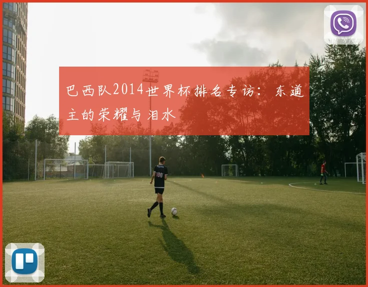 巴西队2014世界杯排名专访：东道主的荣耀与泪水