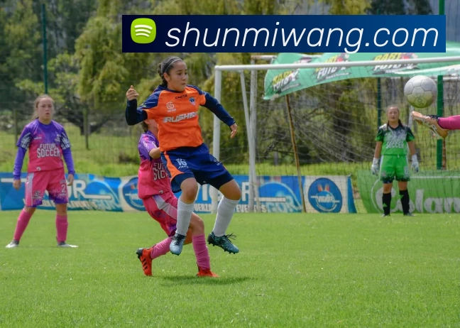 多媒体互动体验